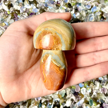 Polychrome Jasper Mushrooms