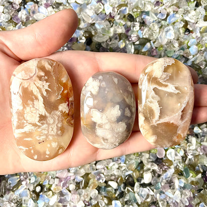 Flower Agate Palm Stones