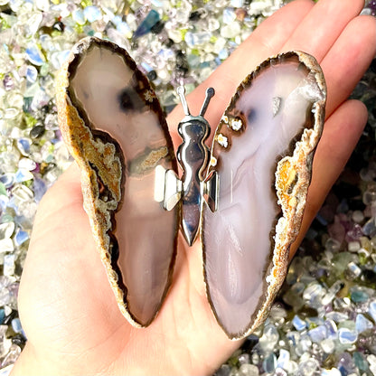 Agate Butterflies