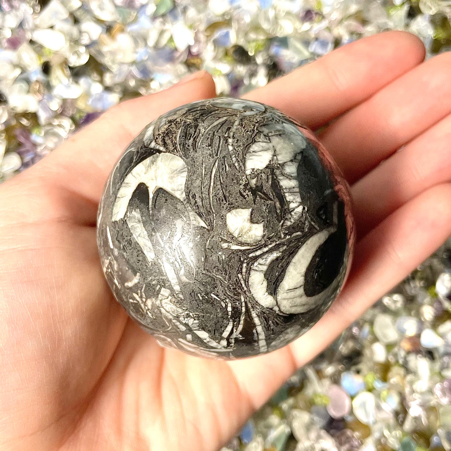 Orthoceras Fossil Stone Sphere