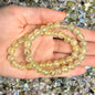 8mm Prehnite Bracelet