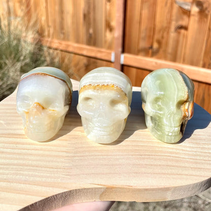 Banded Calcite Skulls