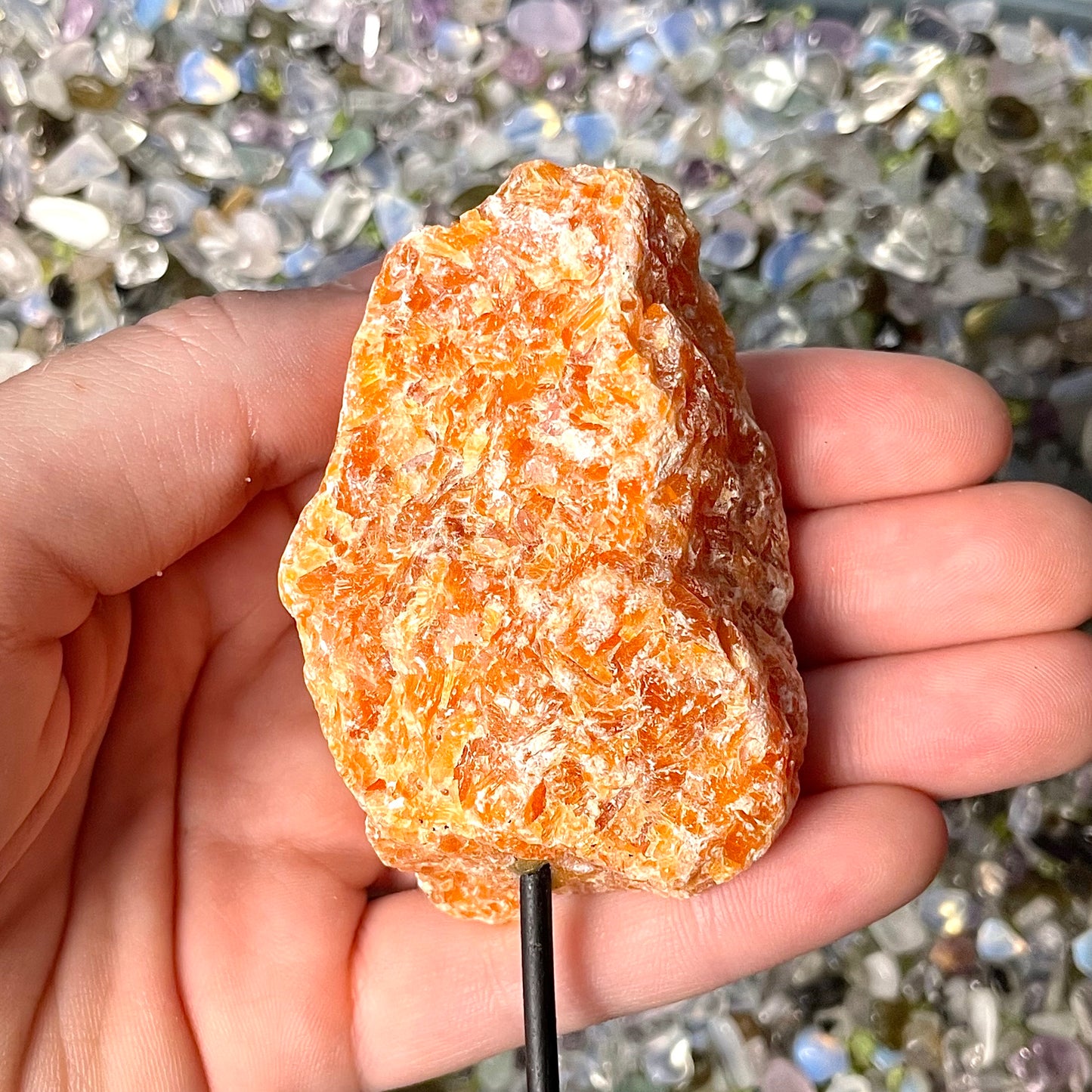 Orange Calcite on Stands