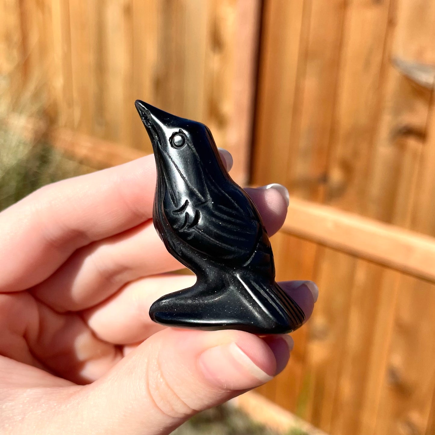 Obsidian Raven Carvings