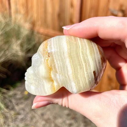 Banded Calcite Skulls