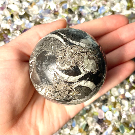 Orthoceras Fossil Stone Sphere