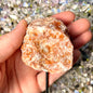 Orange Calcite on Stands