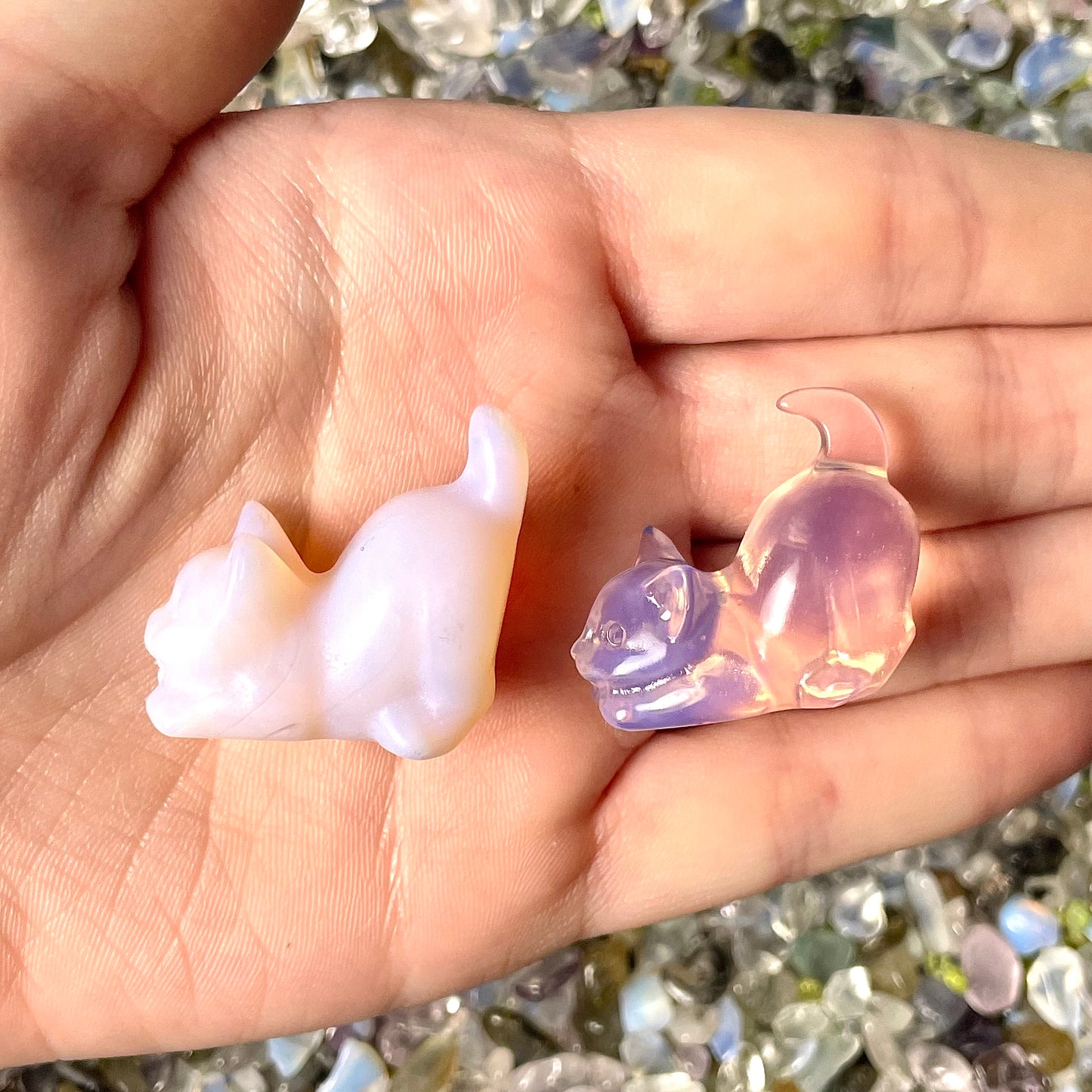 Pink Opal Cats