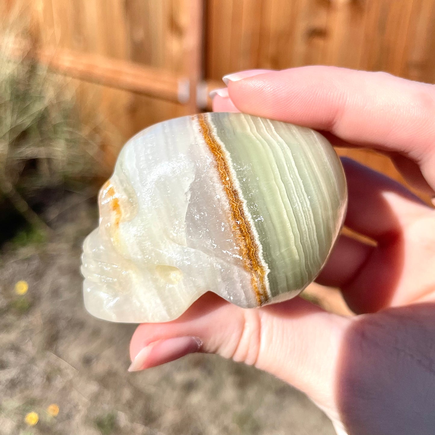 Banded Calcite Skulls