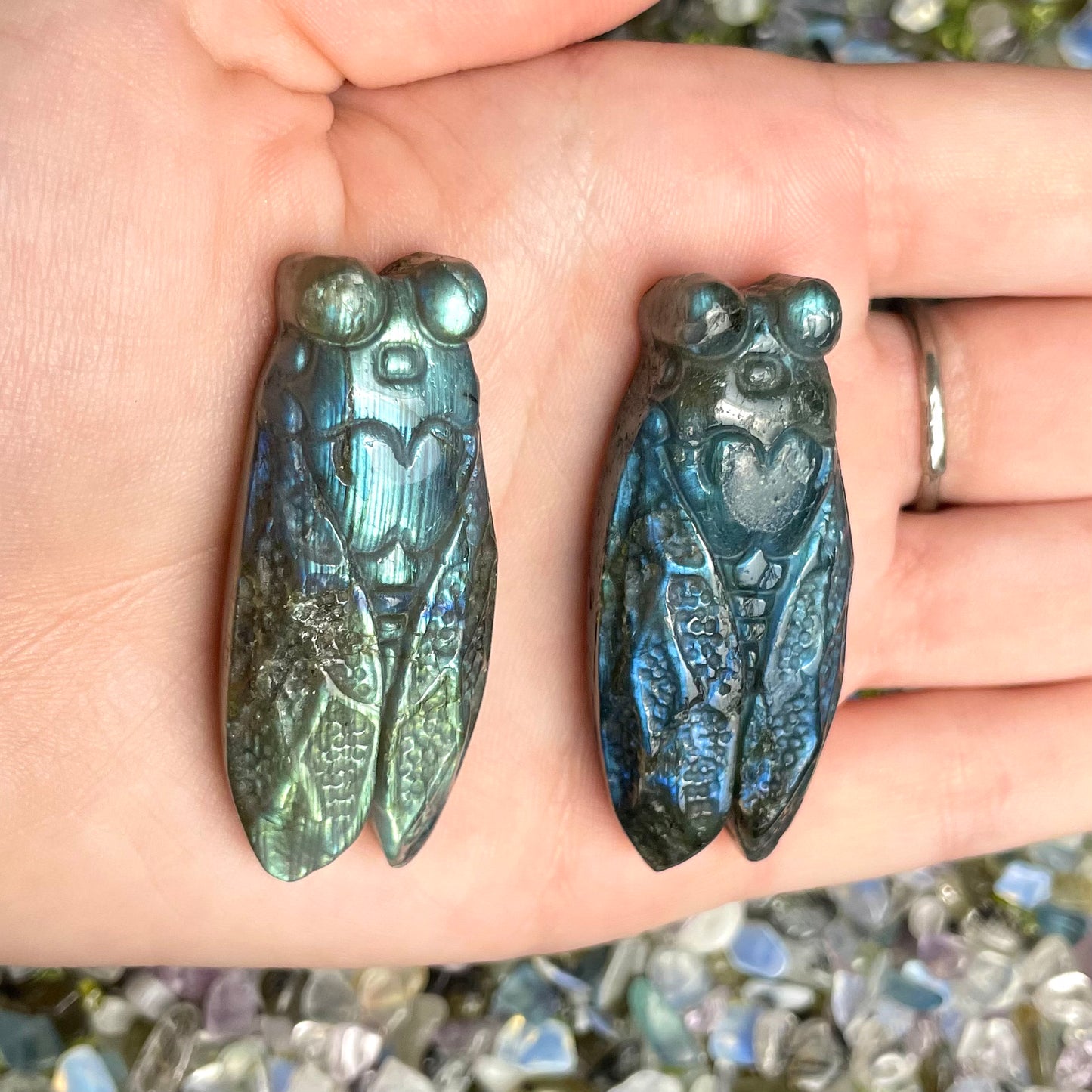 Labradorite Cicada Carving